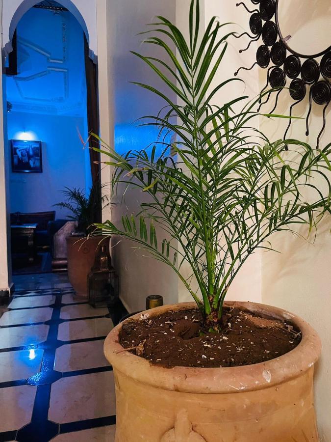 Riad ms holiday’s privatisé 8 personnes - avec terrasse Marrakesh Extérieur photo