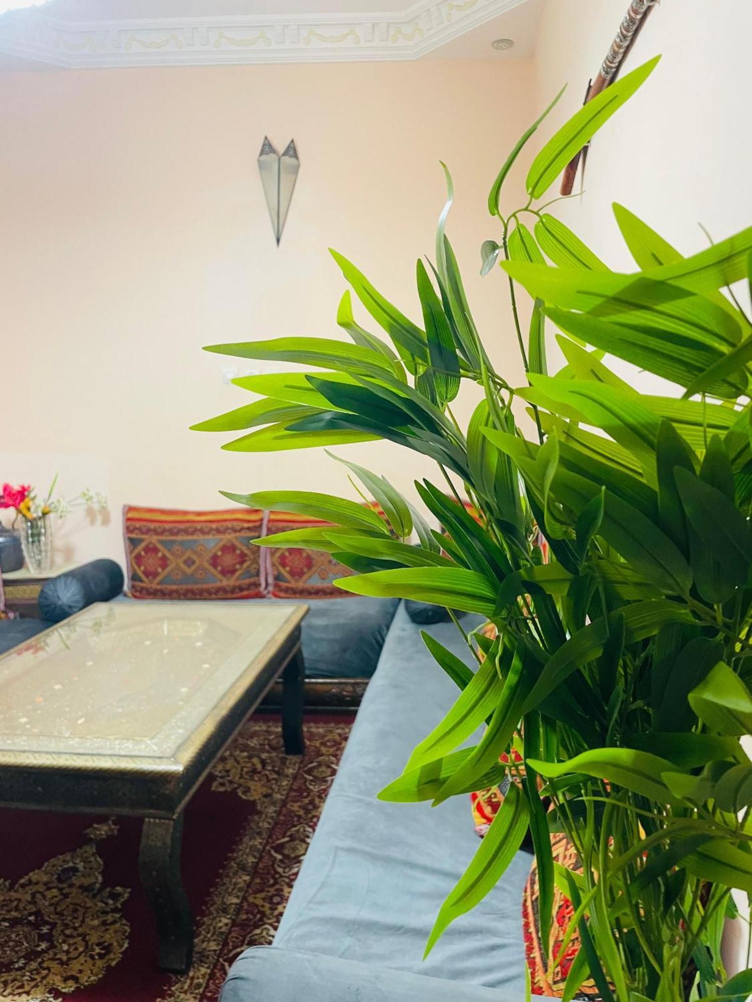 Riad ms holiday’s privatisé 8 personnes - avec terrasse Marrakesh Extérieur photo